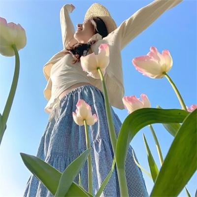 雏菊